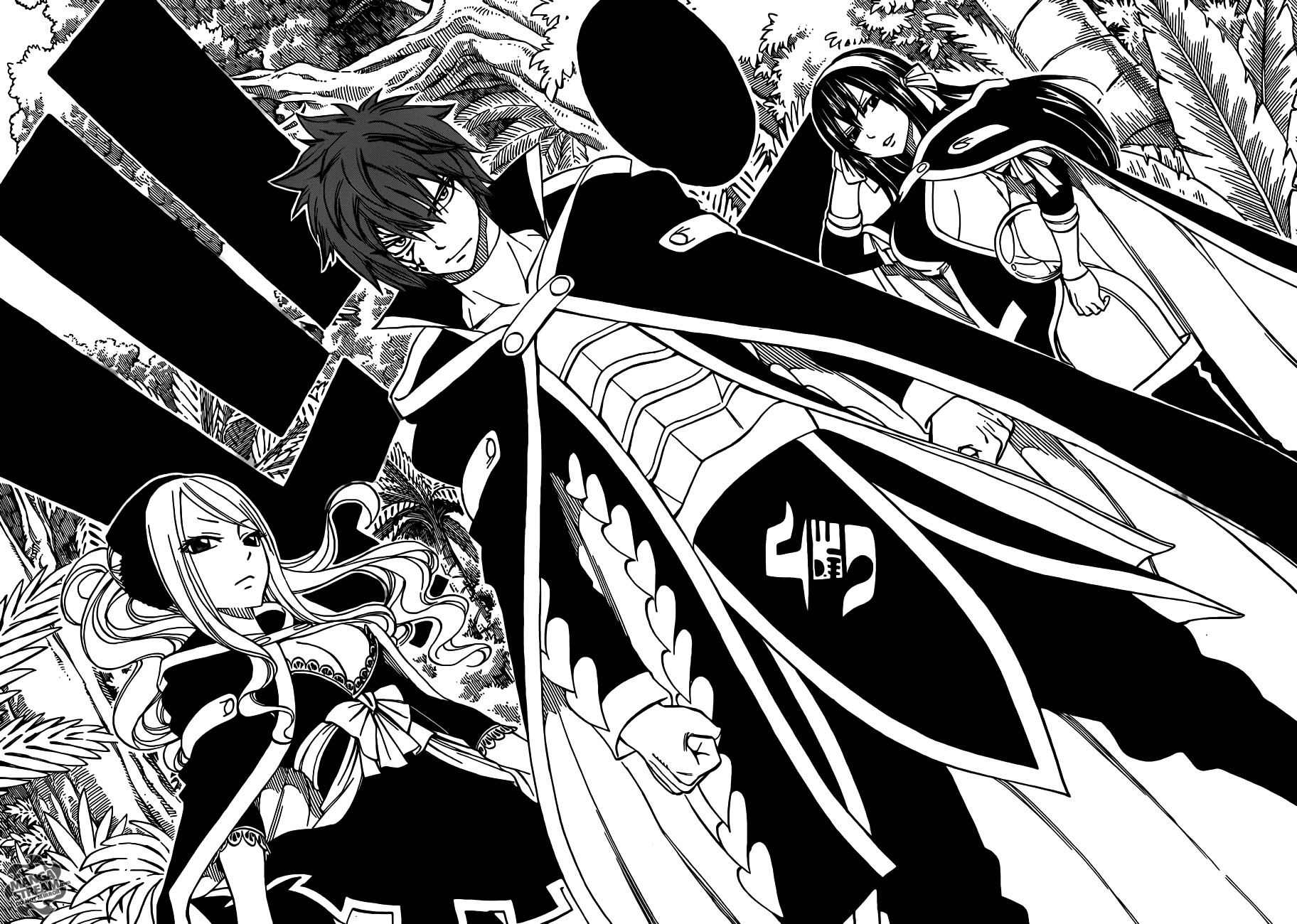 Fairy Tail Chapter 263 12